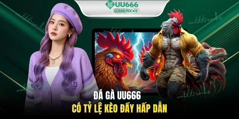 Đá gà UU666 có tỷ lệ kèo đầy hấp dẫn