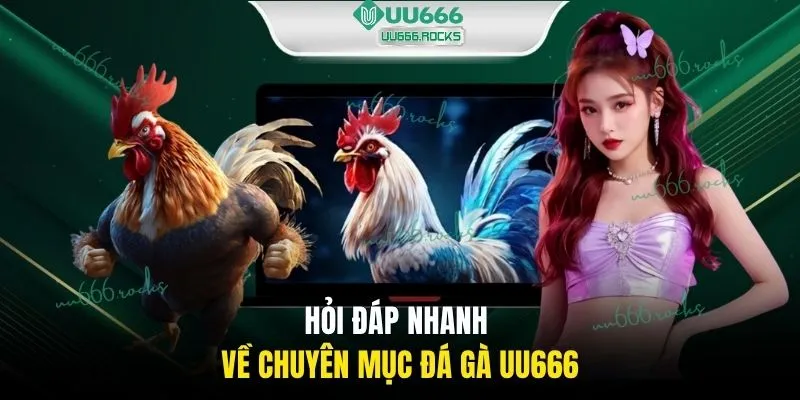 Hỏi đáp nhanh về chuyên mục đá gà UU666